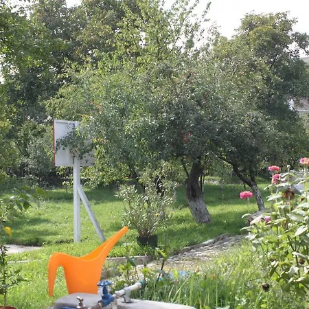 Country house Casa Lui Craciun *